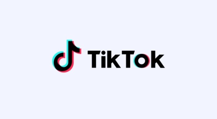 TikTok logo