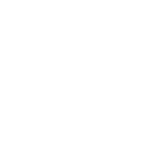 BNC Logo White Transparent